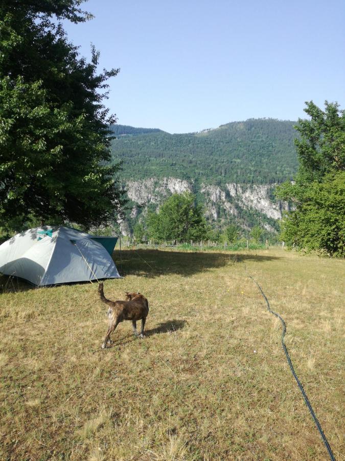 Rafting Camp Apartments Montenegro Goran Lekovic Zabljak  Exterior photo